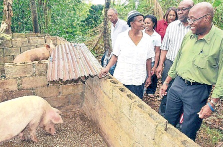 Pork prices up by 4%